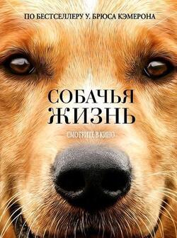 постер Собачья жизнь