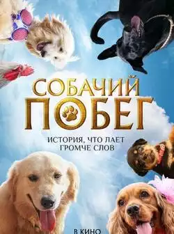 постер Собачий побег