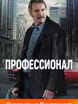 постер Профессионал